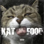 Lil Wayne-Kat Food