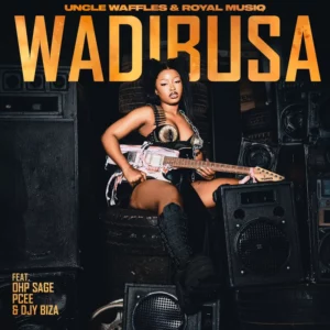 Wadibusa -Uncle Waffles & Royal Musiq - Amazing Music Video